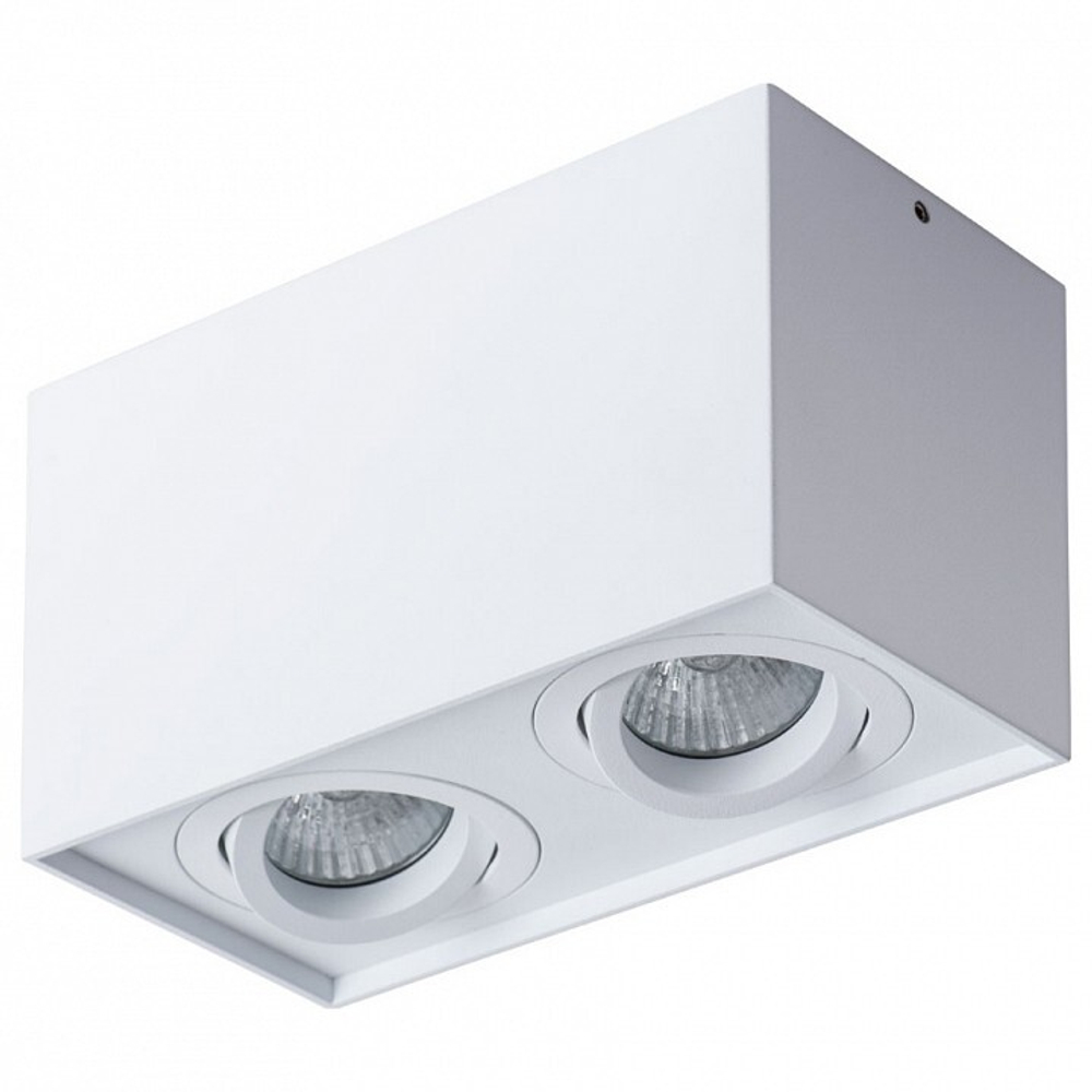 Накладной светильник Arte Lamp A5544PL-2WH
