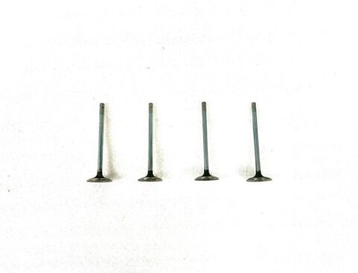 Комплект впускных клапанов Камминс (Cummins) ISF 2,8