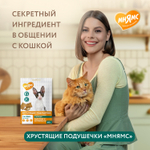 МНЯМС Лакомство "Здоровье и активность" хрустящие подушечки для кошек с курицей, 60 г