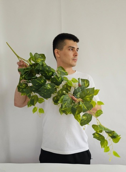 Эпипремнум (плющ) пестрый / Арт 4226