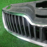 Решетка радиатора Skoda Rapid (2012-2020)