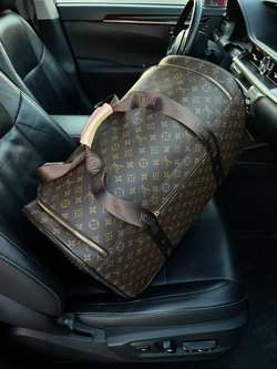 Сумка Louis Vuitton