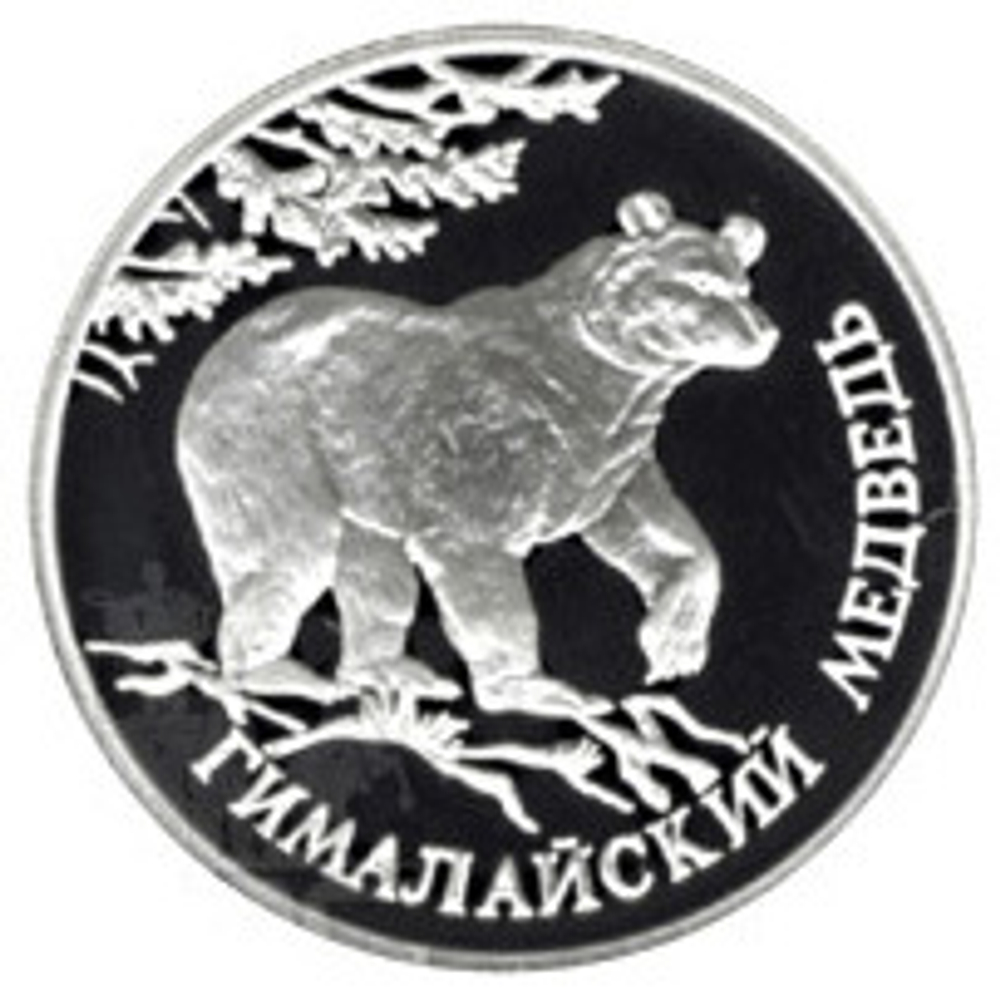 Russia 1 Ruble 1994, Red Book - Himalayan Bear (LMD),PROOF