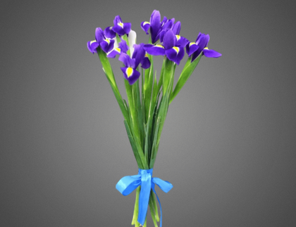 Букет из 5 ирисов