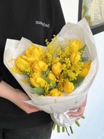 Букет из 11 желтых классических тюльпанов и мимозы