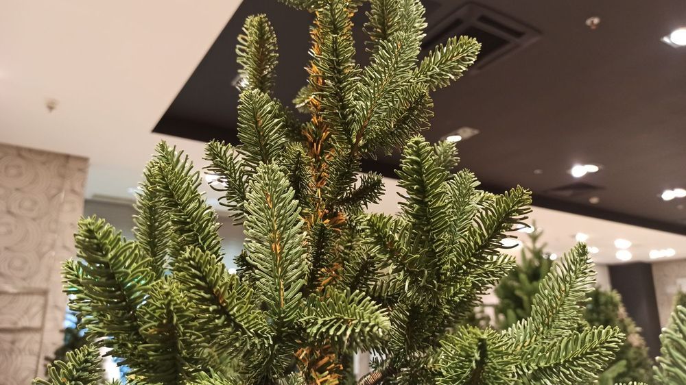 Искусственная ель на ножке «Датская» (хвоя Литая) 240 см / 2.4 м