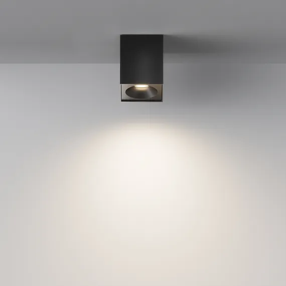 Потолочный светильник Зум / Zoom 1*GU10 10 Вт IP 54 Technical c030cl-01b