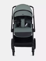 Прогулочная коляска Rant Moss 2025