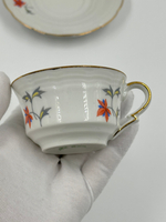 Кофейная пара Schumann