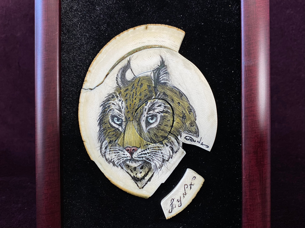 "Дикая кошка"