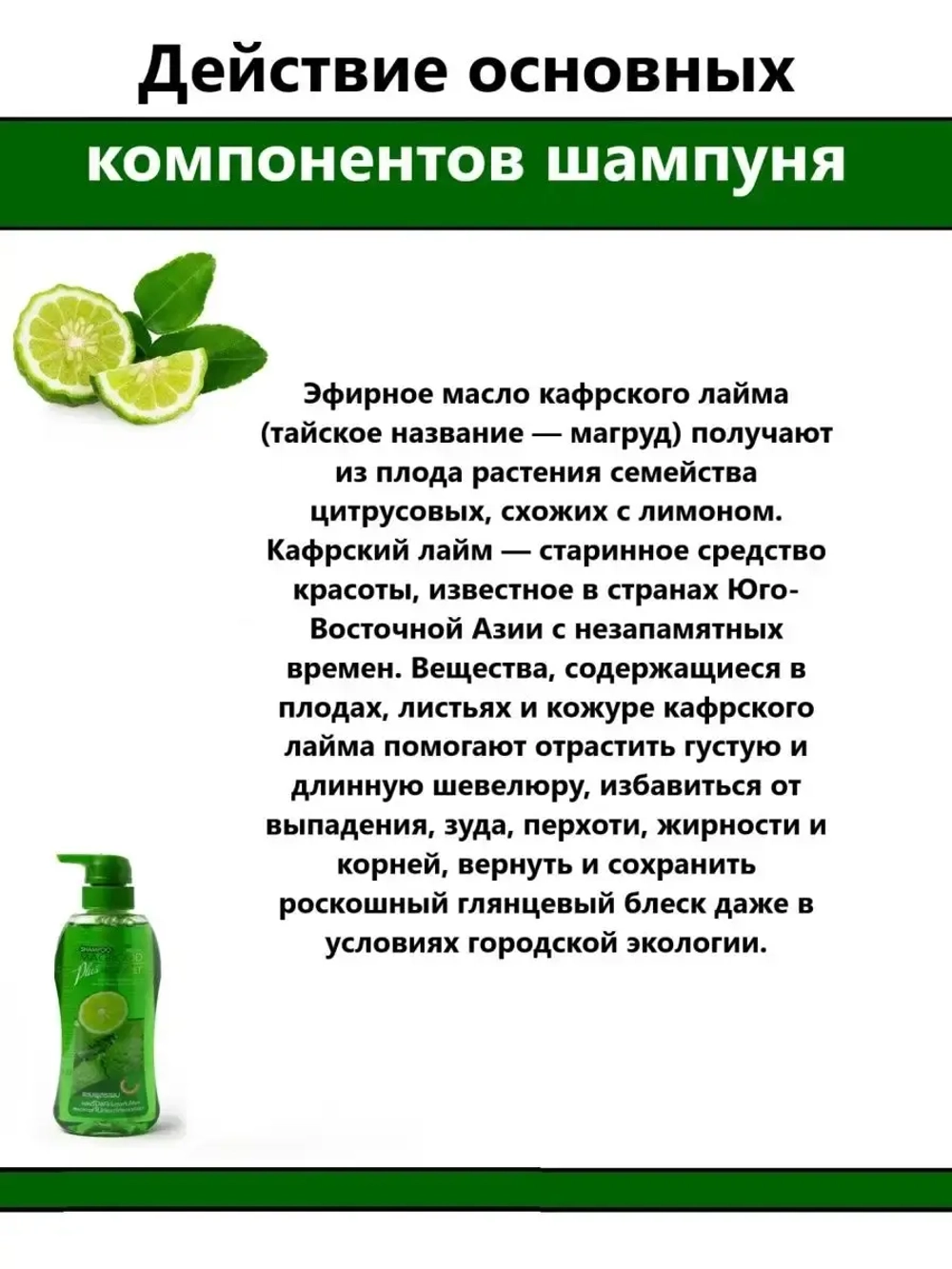 Шампунь от перхоти и ломкости