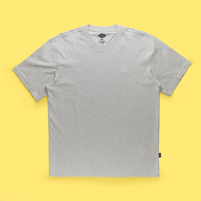 Футболка мужская Dickies Summerdale Tee