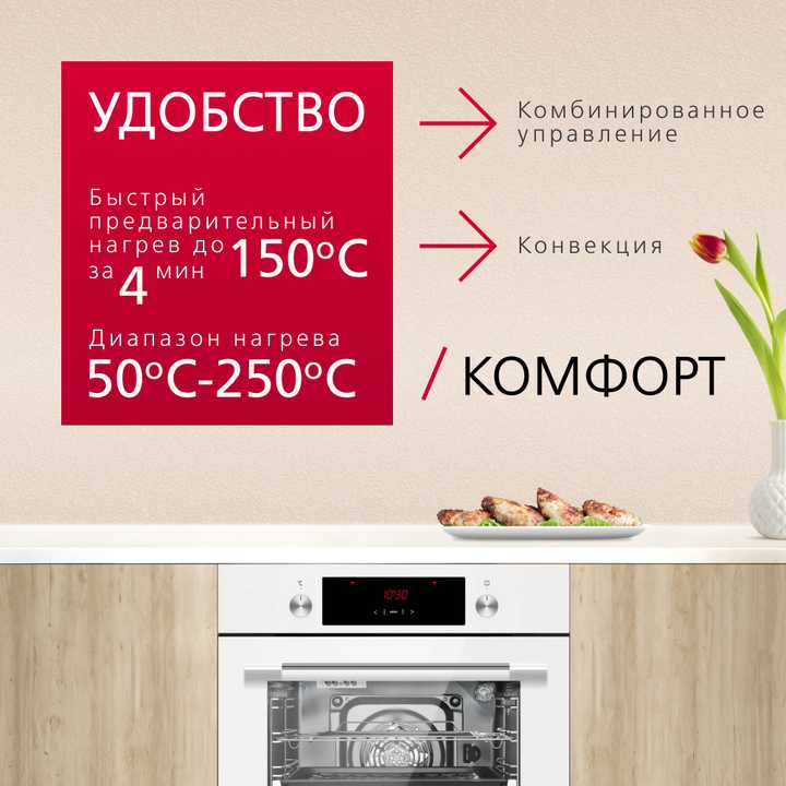 Духовой шкаф Hansa BOEW68441