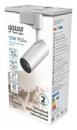 Светильник на штанге Gauss TR TR064