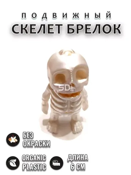 Скелет