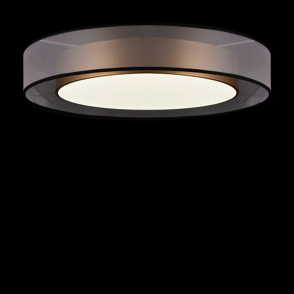 Накладной светильник Freya FR6005CL-L48G