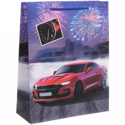 Пакет подарочный «Гонка» 26*32*10 см