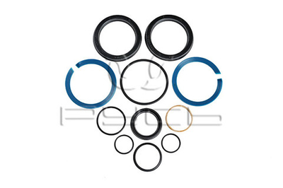 Р/к гидроцилиндра ЦС-100 ХТЗ-150К/17021/16132 навески н/о Русь