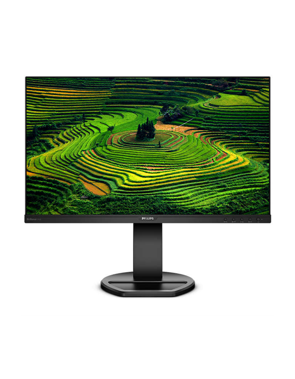 Монитор 23,8" Philips 241B8QJEB 1920x1080 IPS LED 16:9 5ms VGA DVI HDMI DP 2*USB3.0 2*USB2.0 50M:1 178/178 250cd HAS Pivot Tilt Swivel Speakers Black (241B8QJEB/00)