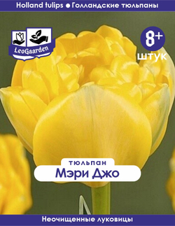 Тюльпан Луковица, Мэри Джо, 8+шт