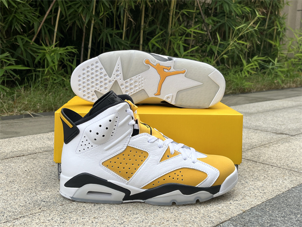 Air Jordan 6 CT8529-170