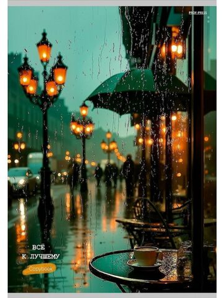 Тетрадь А4 48л кл. скоба Проф-Пресс "Дождь на городской улице" (203*273мм)