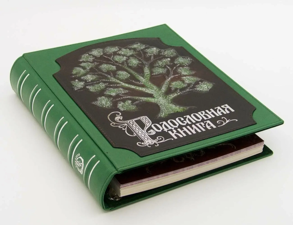 Альбом генеалогическое древо "Традиции", комбинированная кожа (зеленая)