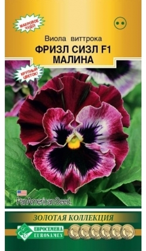 Виола виттрока Фризл Сизл F1 Малина