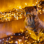 Гирлянда LED Twinkly Cluster (Gold & Silver edition) - 400 шт. (6 м) AWW + BT + Wi-Fi (TWC400GOP-BEU)