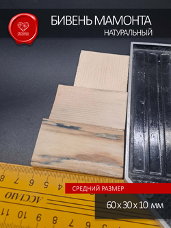 Бивень мамонта прямоугольники для изготовления мелких скульптур