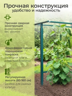 Шпалера для огурцов и гороха