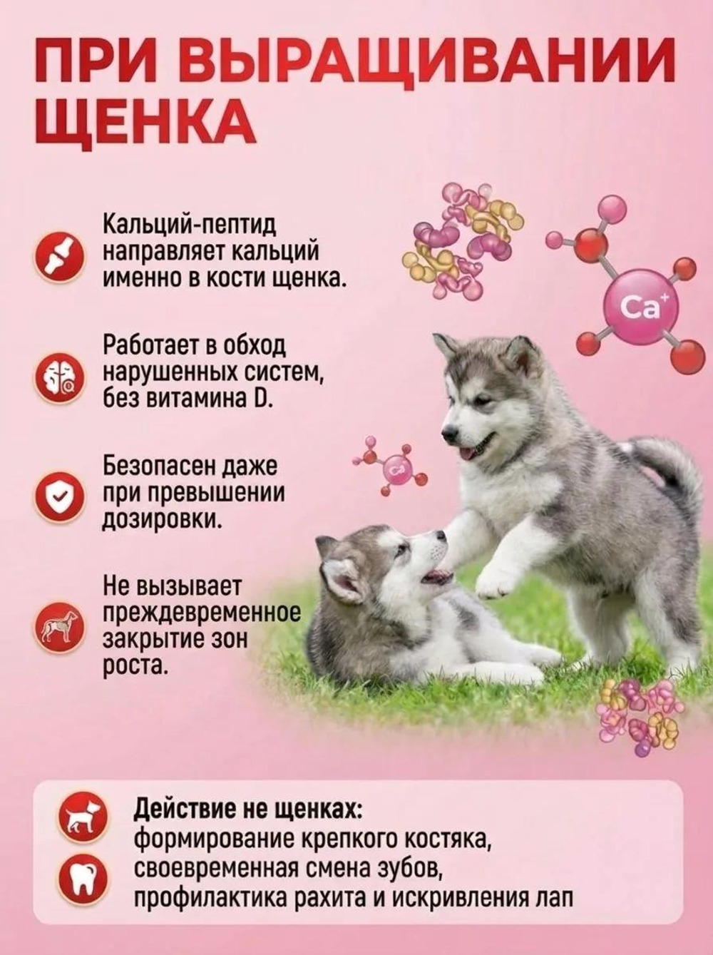 Кальций Пептид 50+ Регулятор баланса кальция для собак весом от 50 кг.