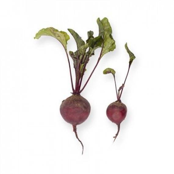 Бебибит семена свеклы – фото 3