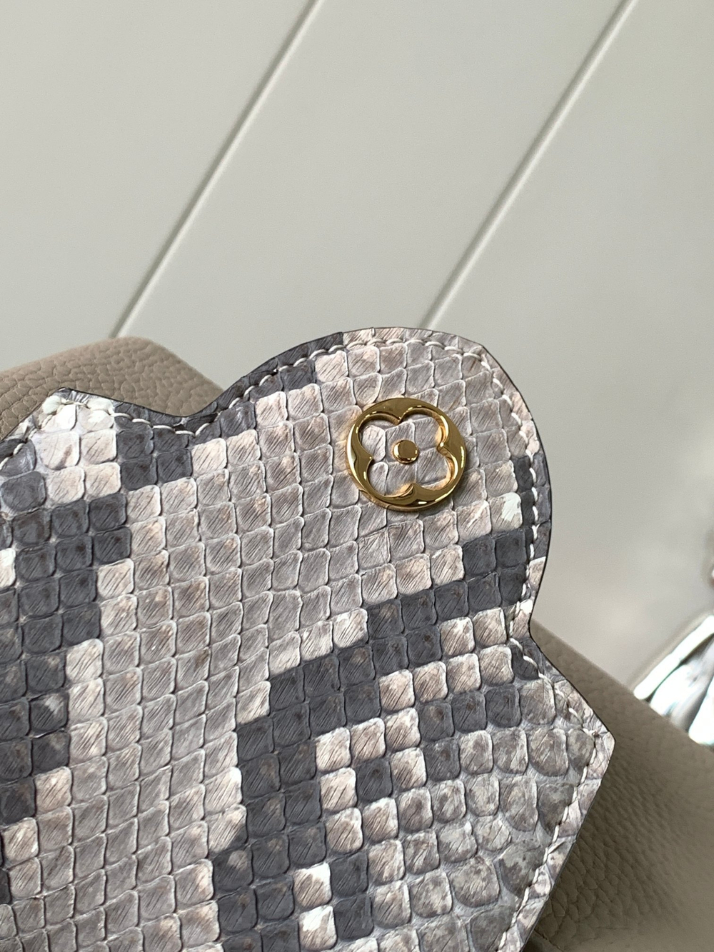 Louis Vuitton Capucines Mini