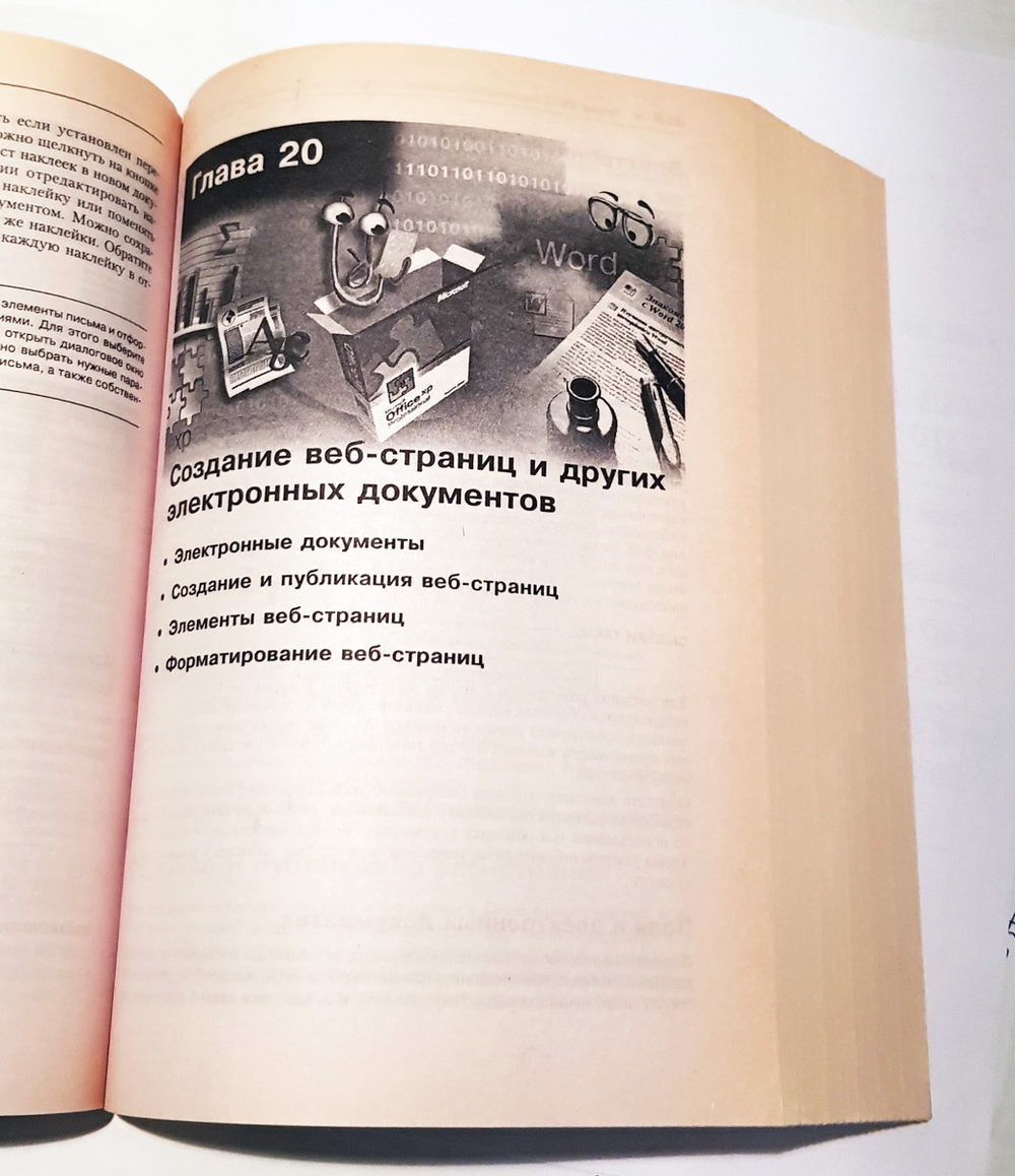 "Эффективная работа Office XP". Майкл Хэлворсон, Майкл Янг