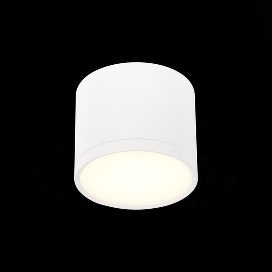 ST113.532.09 Светильник потолочный Белый LED 1*9W 3000K 702Lm Ra&gt;90 120° IP20 D88xH75 170-240V Накладные светильники