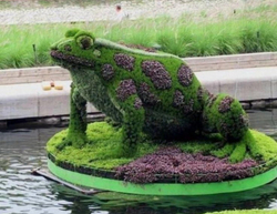 Топиарная фигура Лягушка