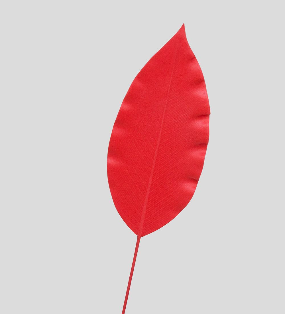 TR 559S Лист имбиря