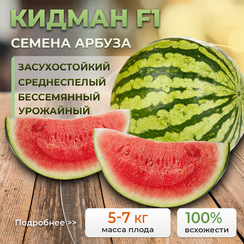 КИДМАН F1 семена арбуза (Rijk Zwaan | Alexagro)