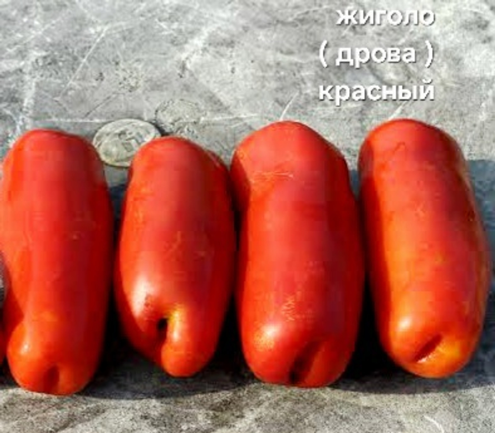 ЖИГОЛО (ДРОВА) КРАСНЫЙ