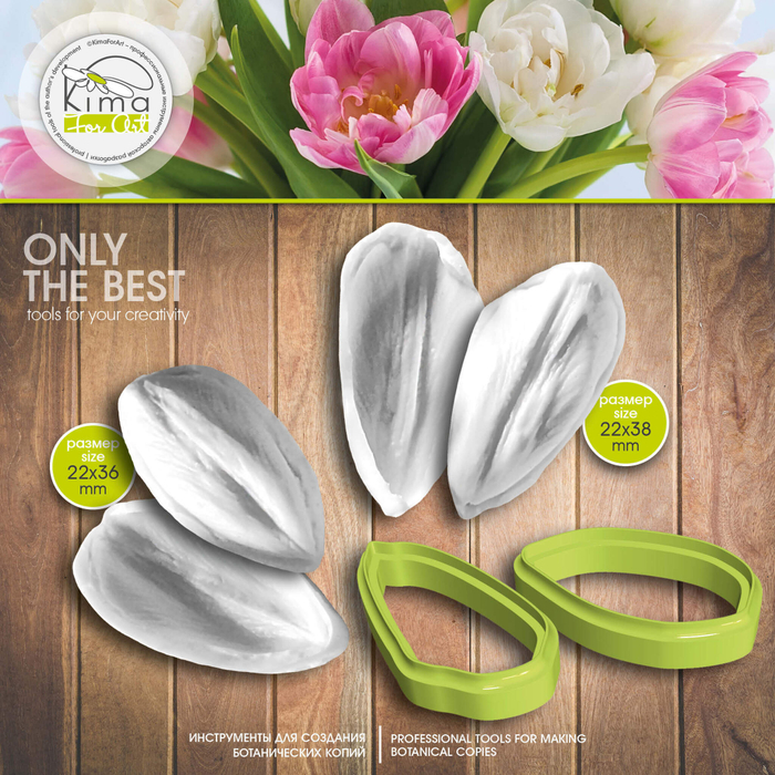 Тюльпан карликовый лепестки