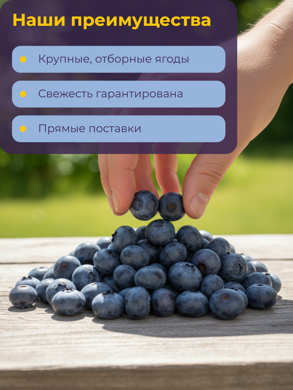 Черника садовая "Bellсhef" 2,5 кг