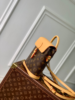 Louis Vuitton Soho Mini