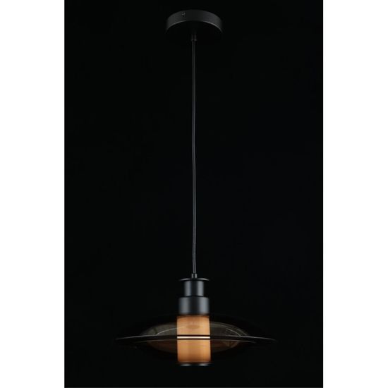 Светильник подвесной APL.648.16.10