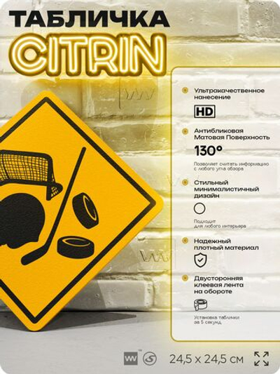 Табличка декоративная "Хоккей" на дверь и стену, спортивная, информационная, декоративный знак, 24,5х24,5 см, пластиковая, Айдентика Технолоджи