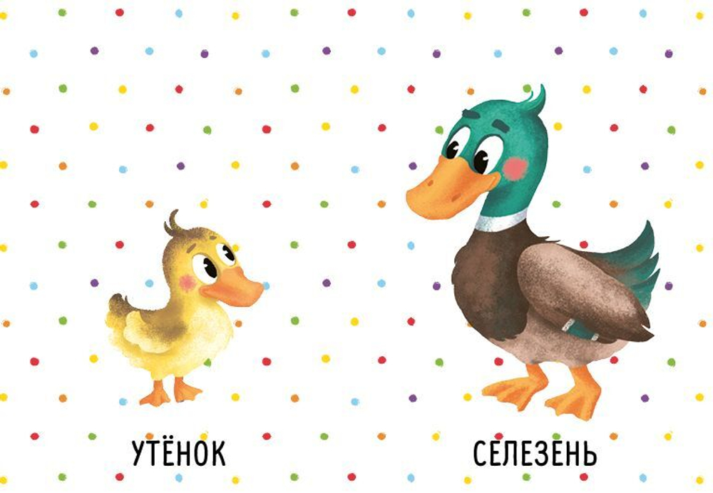 Кто мой малыш? Животные и их детеныши