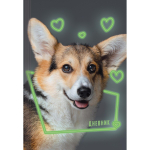 Дневник А5 48л "Домашние любимцы. Дизайн 3 (24)" (Эксмо)