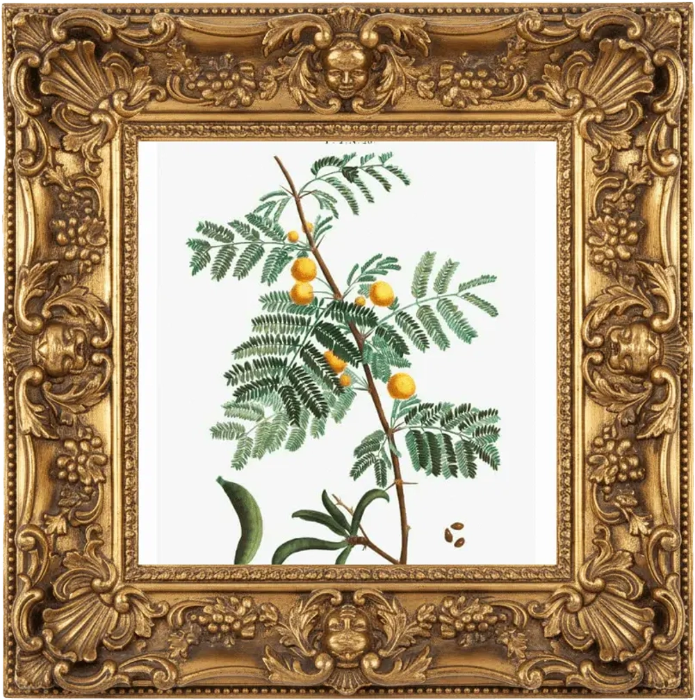 Отдушка SM - ЛЕПЕСТКИ МИМОЗЫ (MIMOSA PETALS)