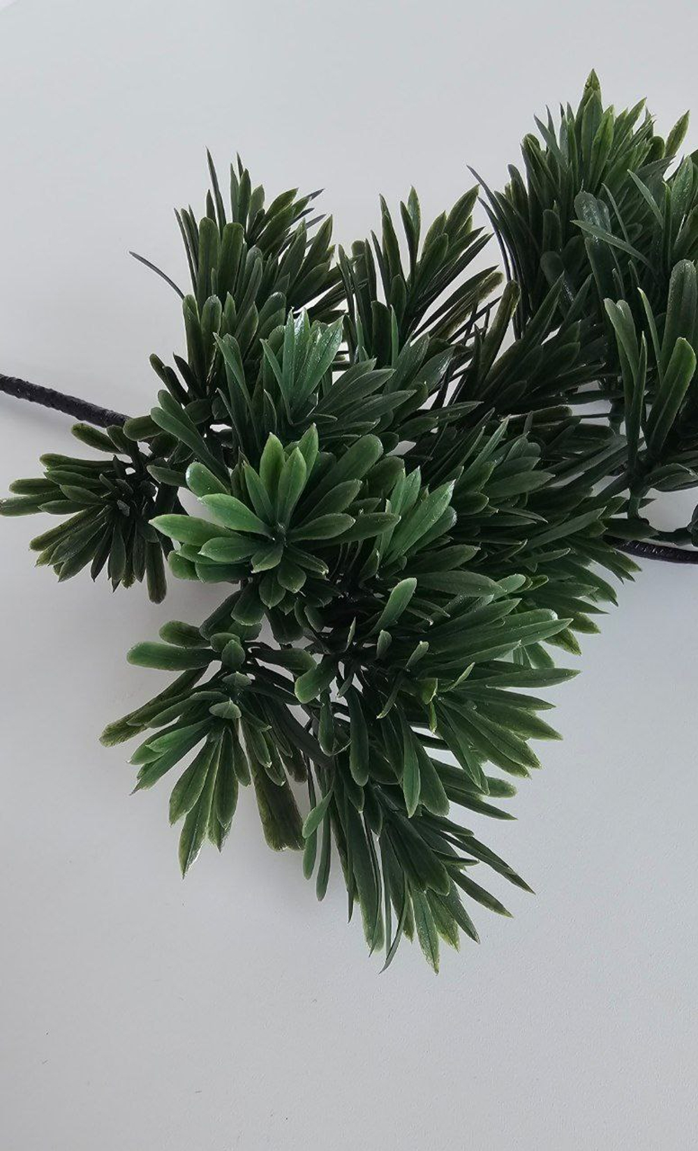 Бонсай подокарпус / Арт 5033