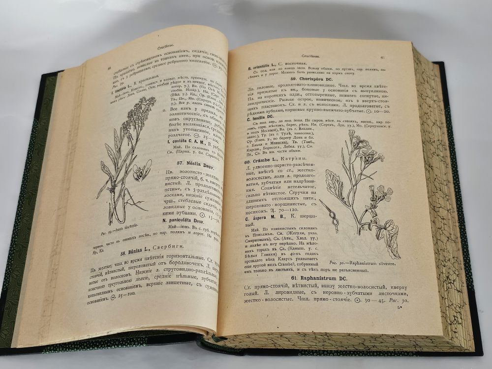 "Флора Средней России. Иллюстрированное руководство к определению среднерусских семенных и сосудистых споровых растений". П.Ф. Маевский, доп. Д.И. Литвиновым. 1917 г.